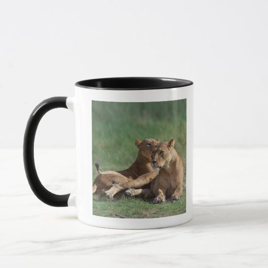Lion 5 mok (Links)