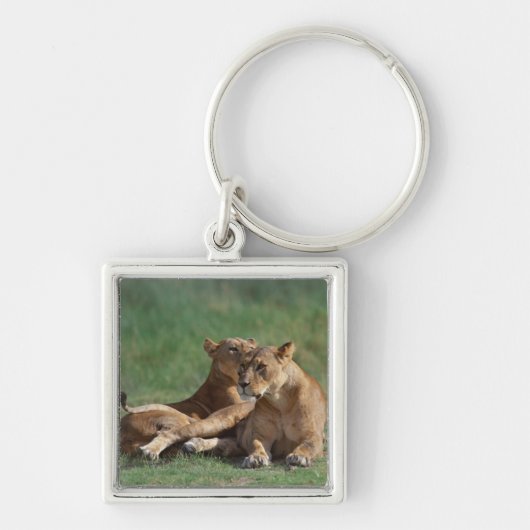 Lion 5 sleutelhanger (Voorkant)