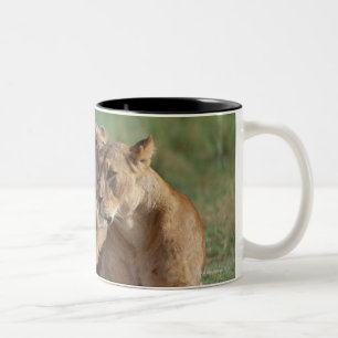Lion 5 tweekleurige koffiemok