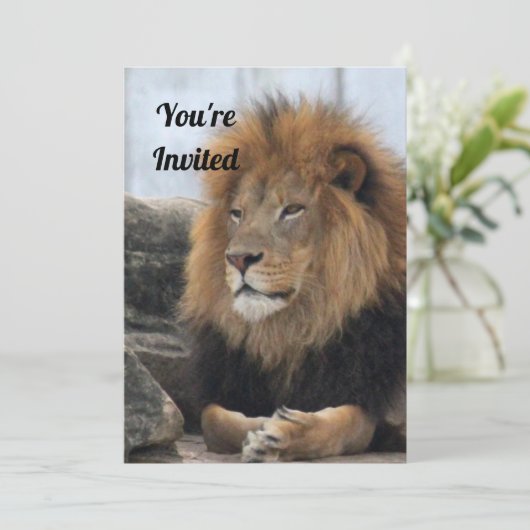 Lion 6880 Verjaardag Uitnodiging (Staand voorkant)