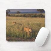 Lion 6 muismat (Met muis)