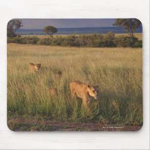 Lion 6 muismat