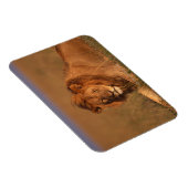 Lion 8 magneet (Rechterzijde)