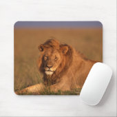 Lion 8 muismat (Met muis)
