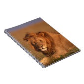 Lion 8 notitieboek (Rechterzijde)