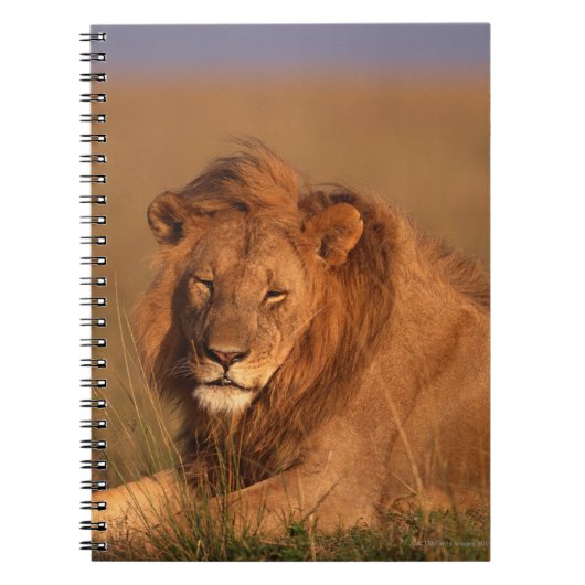 Lion 8 notitieboek (Voorkant)