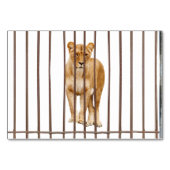 Lion ABA Tact Labelling Flashcard | KAART AFBEELDI (Voorkant)