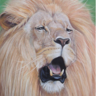 Lion afbeelding big cat wildlife realist art. legpuzzel