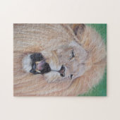 Lion afbeelding big cat wildlife realist art. legpuzzel (Horizontaal)