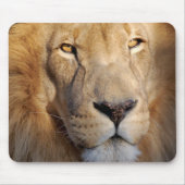 Lion Afbeeldingen Muismat (Voorkant)