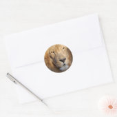 Lion Afbeeldingen Sticker (Envelop)