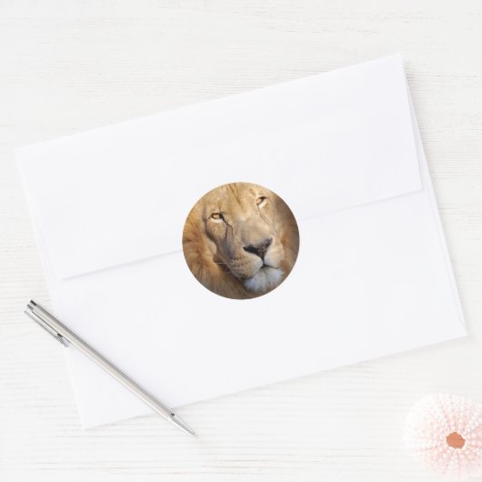 Lion Afbeeldingen Sticker (Envelop)