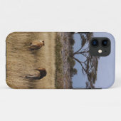 lion africa iphone4 hoesje (Achterkant (horizontaal))