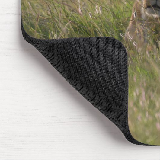 Lion Africa Savannah Muismat (Hoek)