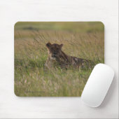 Lion Africa Savannah Muismat (Met muis)