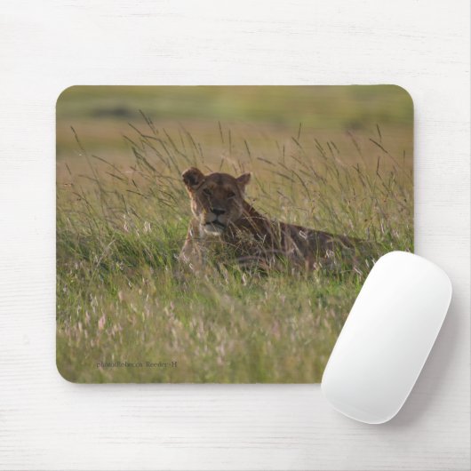 Lion Africa Savannah Muismat (Met muis)