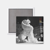 Lion Amsterdam Magneet (Voorkant / Achterkant)