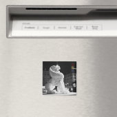 Lion Amsterdam Magneet (Insitu (Vaatwasser))