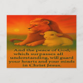 Lion and Lamb Serenity Briefkaart (Voorkant)