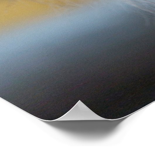 Lion Animal Wall Poster (Hoek)