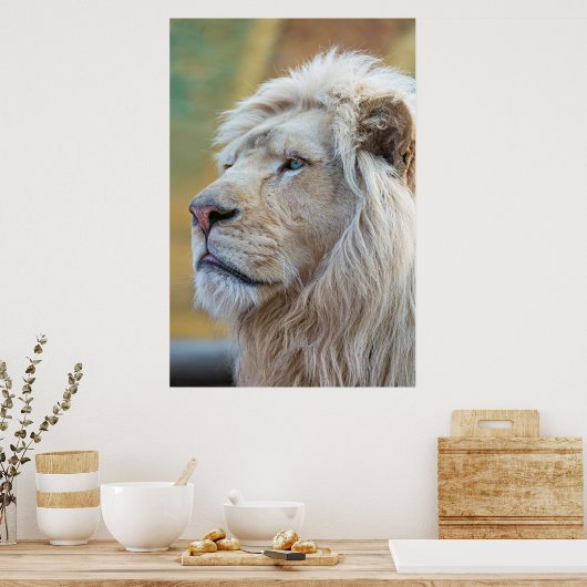 Lion Animal Wall Poster (Keuken)