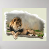 Lion at Rest Lion Lovers Art Poster (Voorkant)