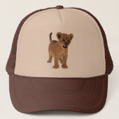 Lion Baby Pet (Voorkant)