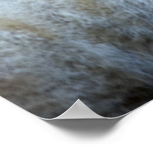 Lion Baby Poster (Hoek)