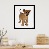 Lion Baby Poster (Keuken)