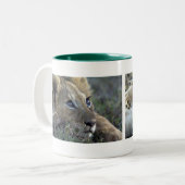 Lion Babys Tweekleurige Koffiemok (Voorkant links)