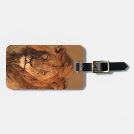 Lion Bagagelabel (Voorkant horizontaal)