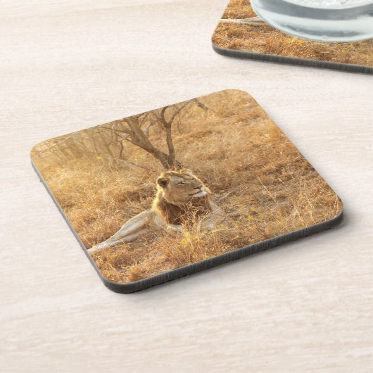 Lion Beverage Coaster Bier Onderzetter (Linkerzijde)