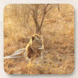 Lion Beverage Coaster Bier Onderzetter