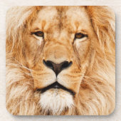 Lion Beverage Coaster Bier Onderzetter (Voorkant)