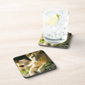 Lion Bier Onderzetter (Rechterzijde)