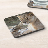 Lion Bier Onderzetter (Linkerzijde)