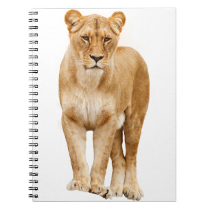 Lion Big Cat Predator Prouly Notitieboek