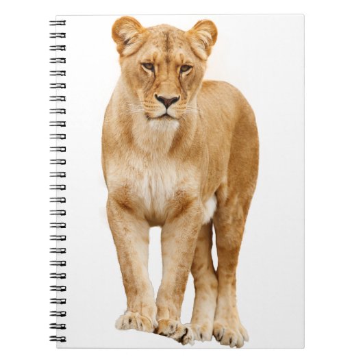 Lion Big Cat Predator Prouly Notitieboek (Voorkant)