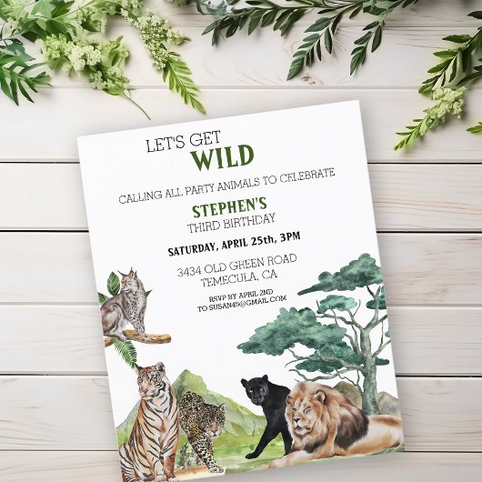 Lion Big Cats Oerwoud Safari Wild Birthday