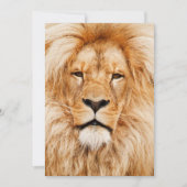 Lion Birthday Party Kaart (Voorkant)