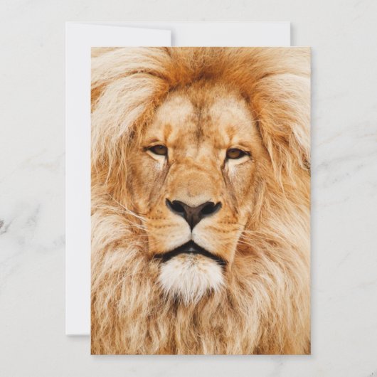 Lion Birthday Party Kaart (Voorkant)