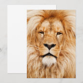 Lion Birthday Party Kaart (Voorkant / Achterkant)