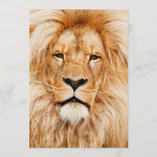 Lion Birthday Party Kaart