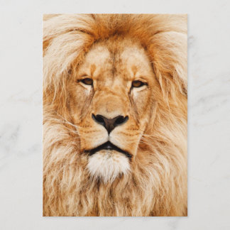 Lion Birthday Party Kaart