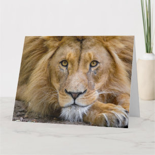 LION BIRTHDAY WENSKAART KAART