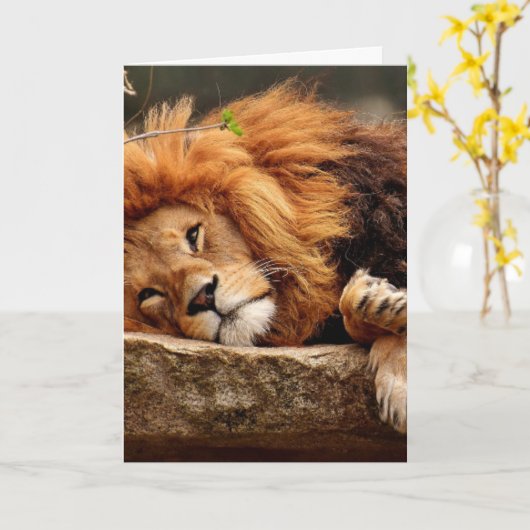 LION BIRTHDAY WENSKAARTEN KAART (Gele Bloem)