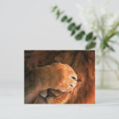 Lion Briefkaart (Staand voorkant)
