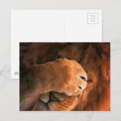 Lion Briefkaart (Voorkant / Achterkant)