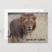 Lion Briefkaart (Voorkant / Achterkant)