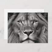 Lion Briefkaart (Voorkant / Achterkant)